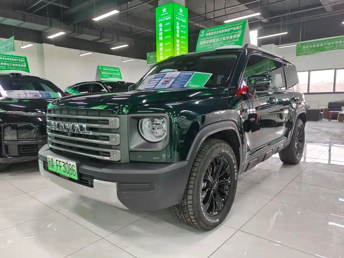 HAVAL RAPTOR NEW ENERGY  2025