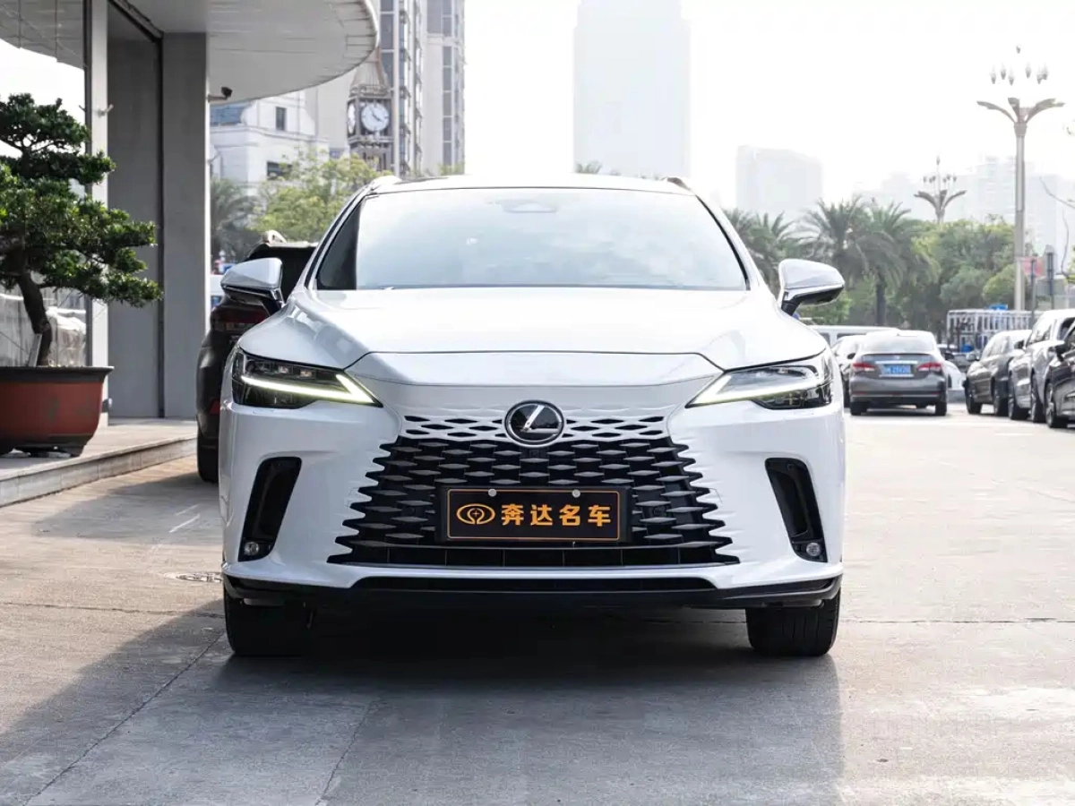 LEXUS RX NEW ENERGY