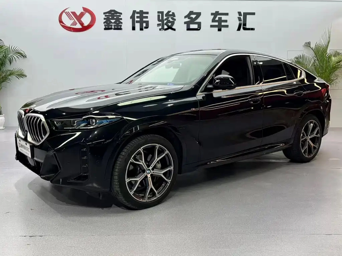 BMW X6