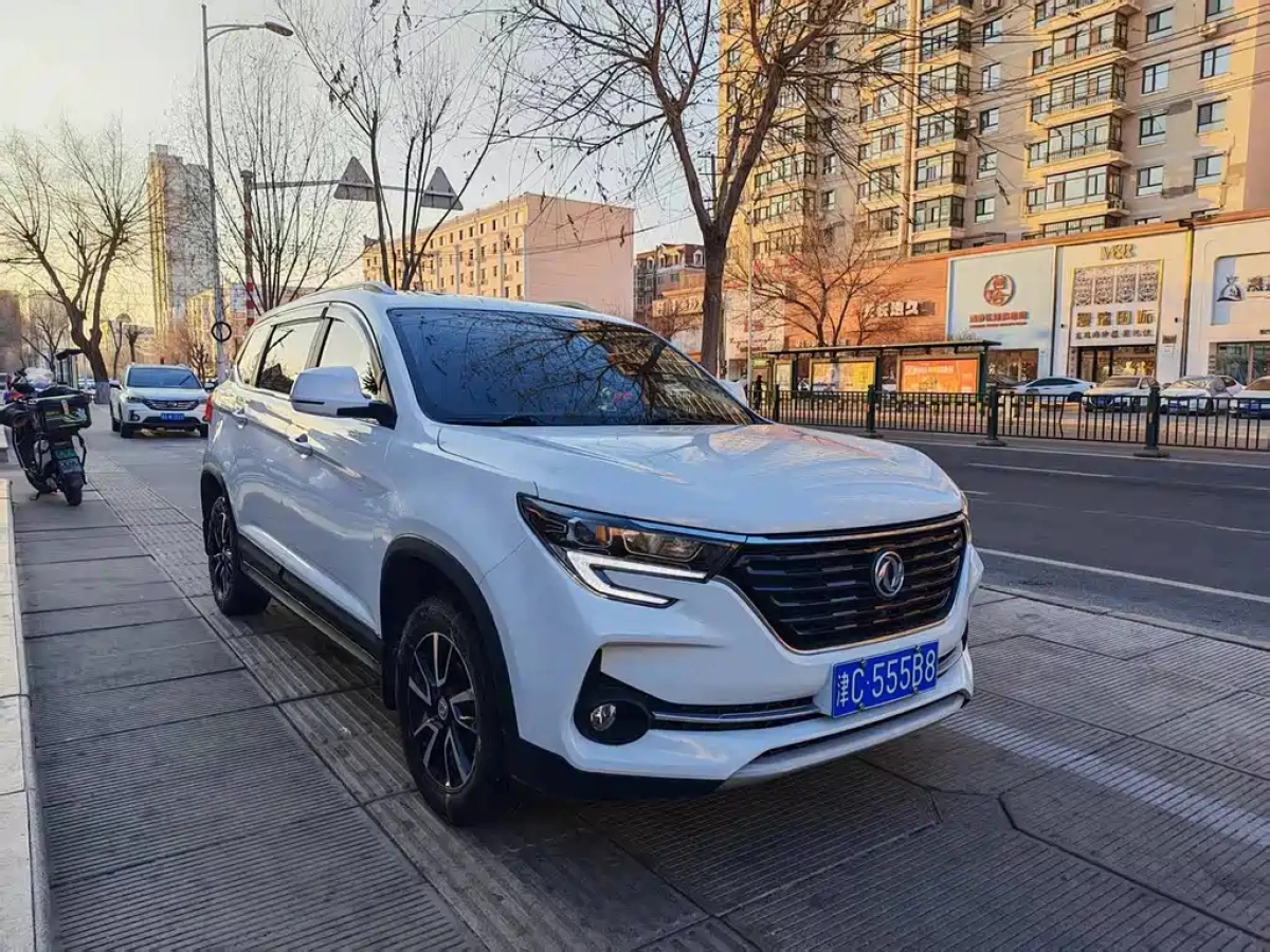 DONGFENG FORTHING T5  2020