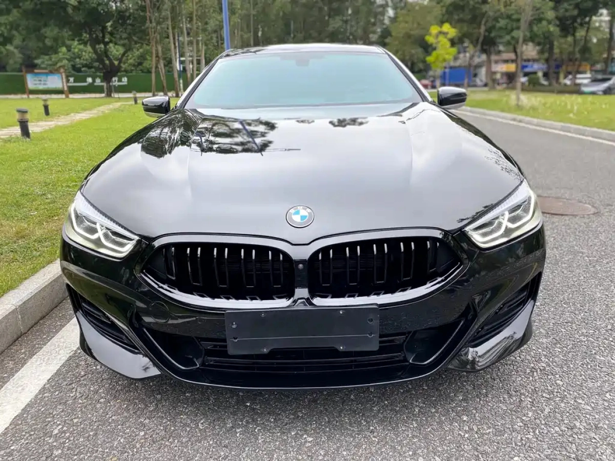 BMW 8-SERIES  2022