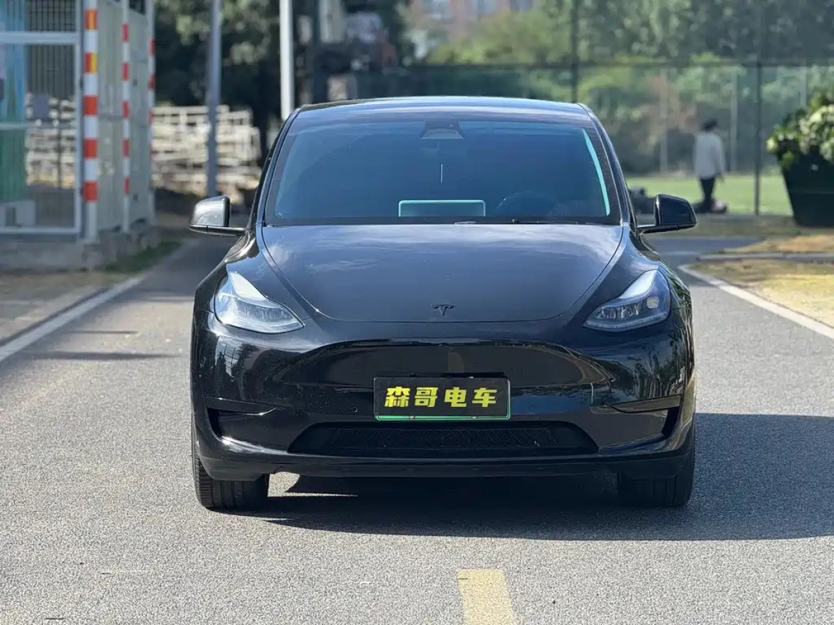 TESLA MODEL Y