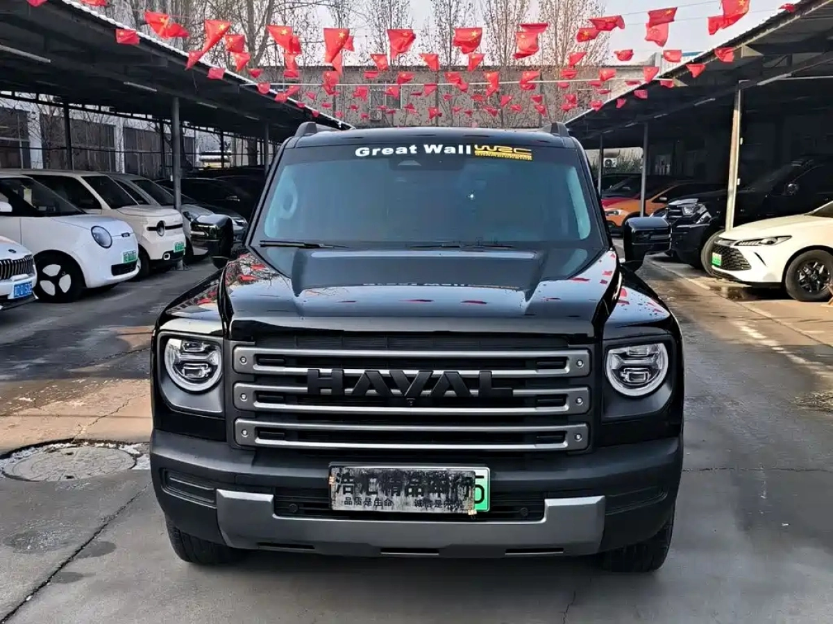 HAVAL RAPTOR NEW ENERGY