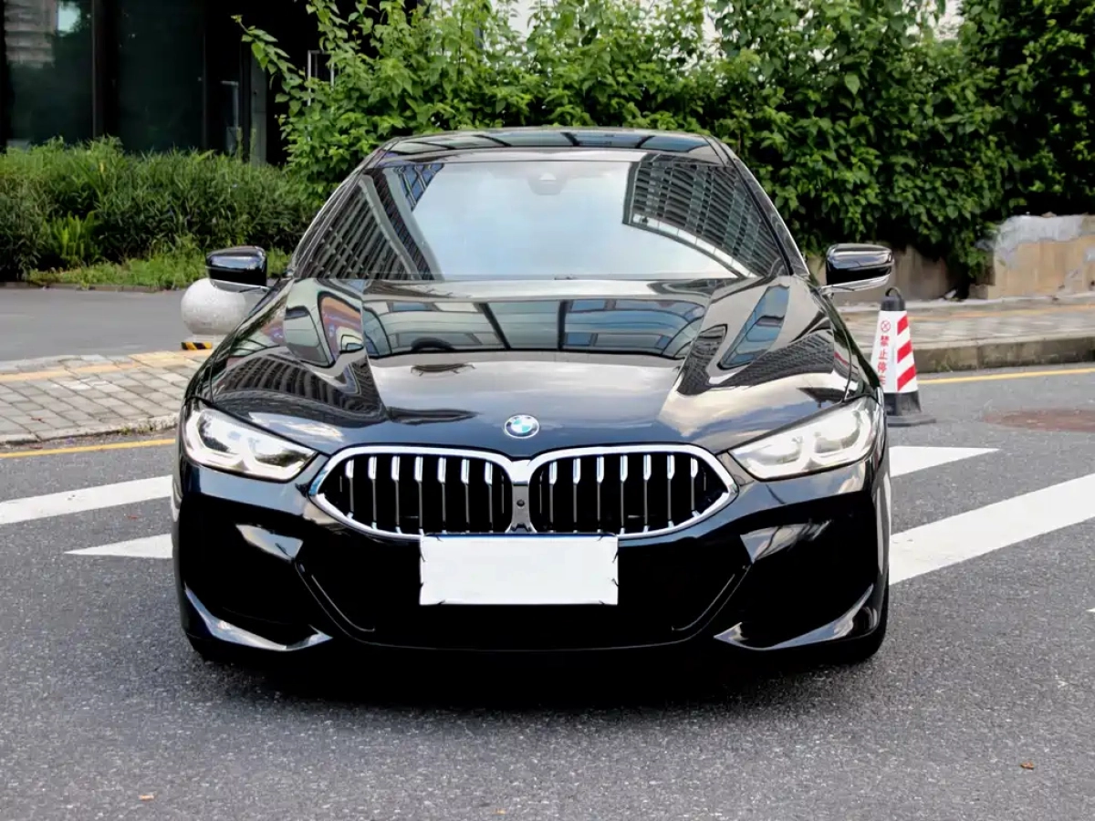 BMW 8-SERIES