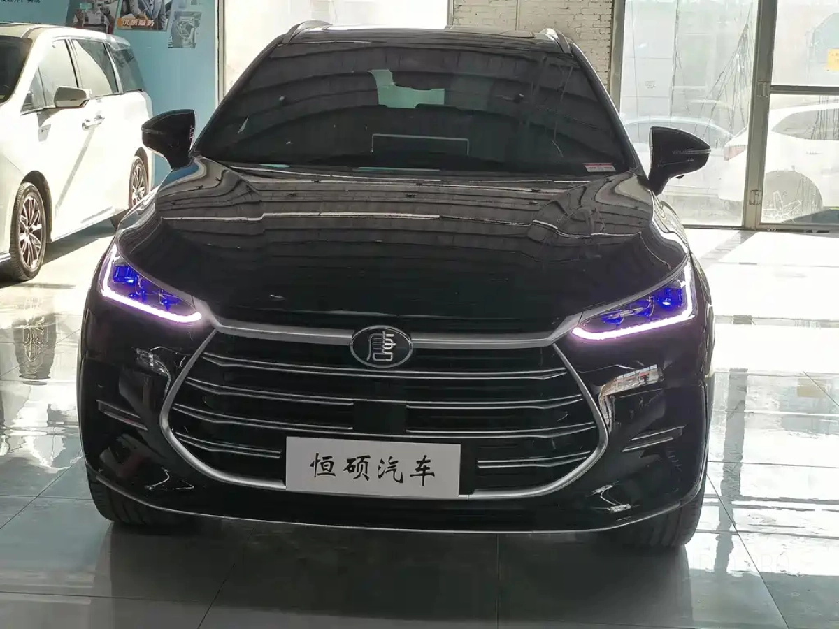 BYD TANG NEW ENERGY