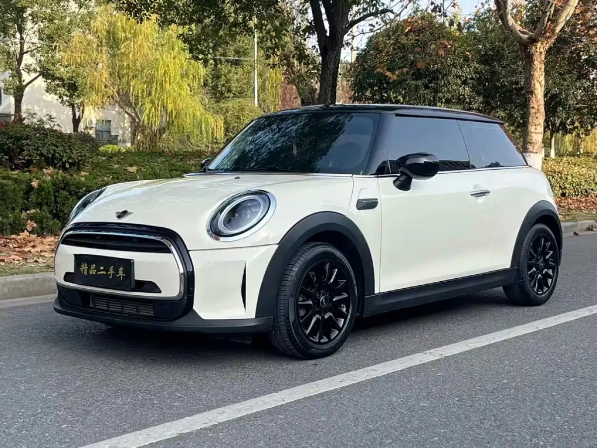 MINI OTHER