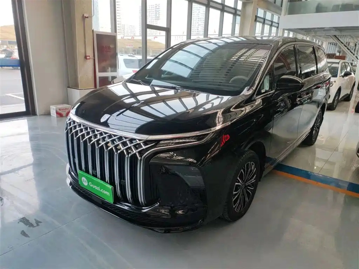 DONGFENG XINGHAI V9  2024