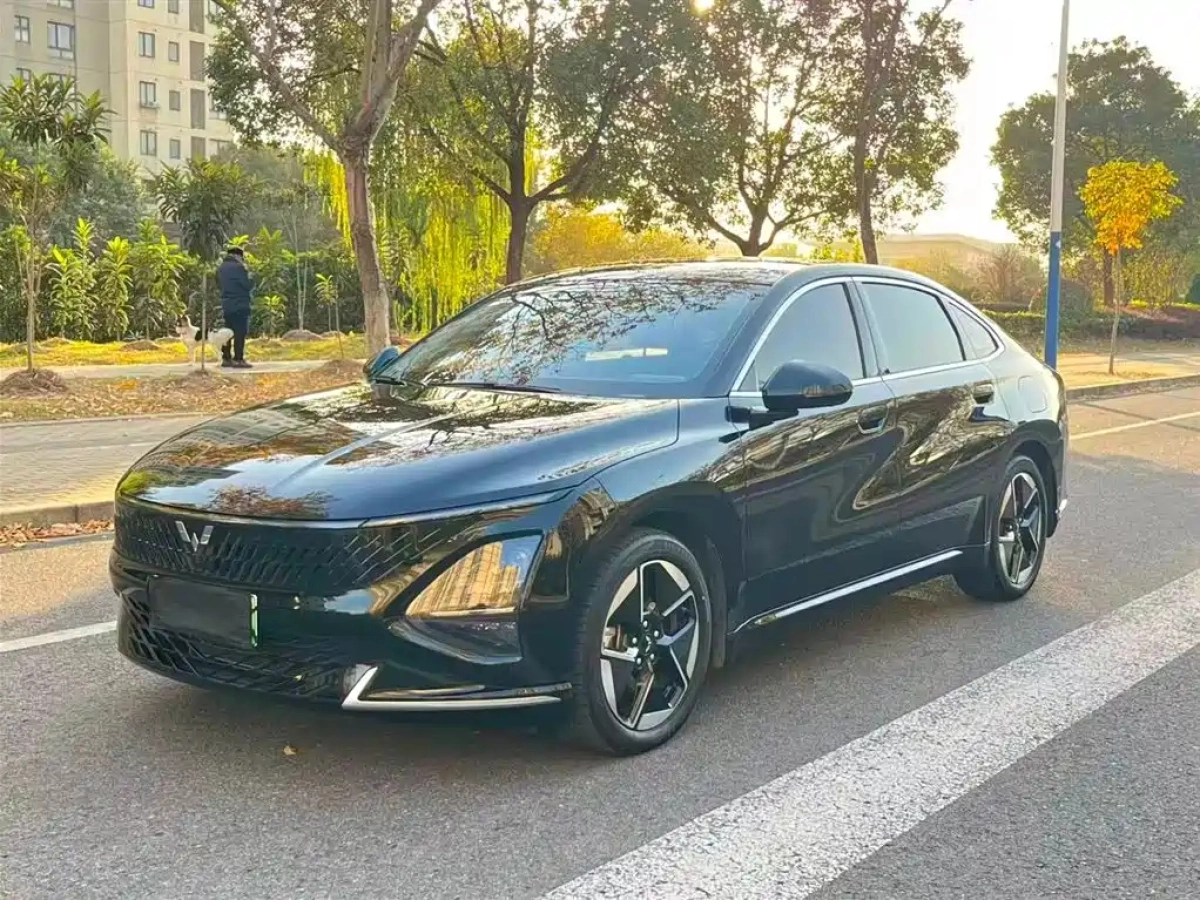 SGMW WULING STARLIGHT  2024