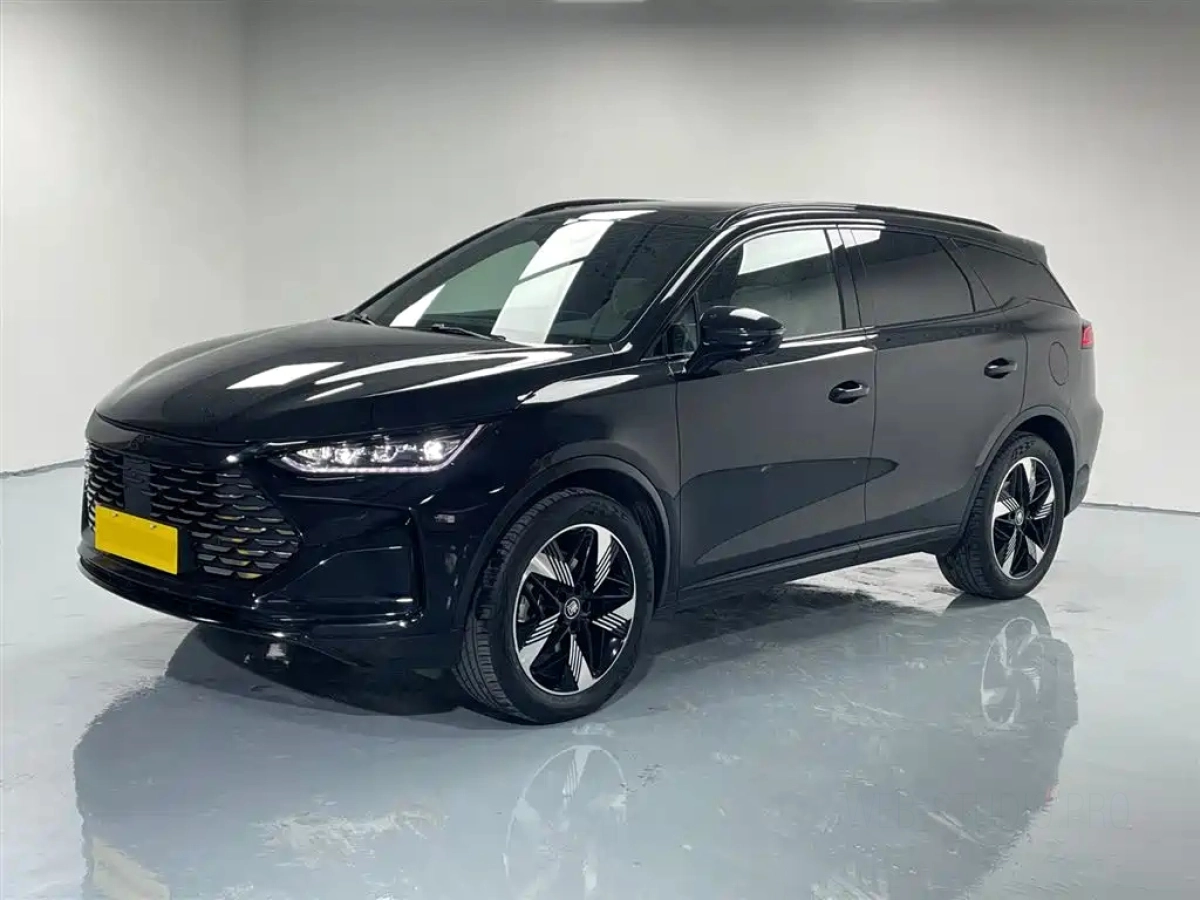 BYD TANG NEW ENERGY  2024