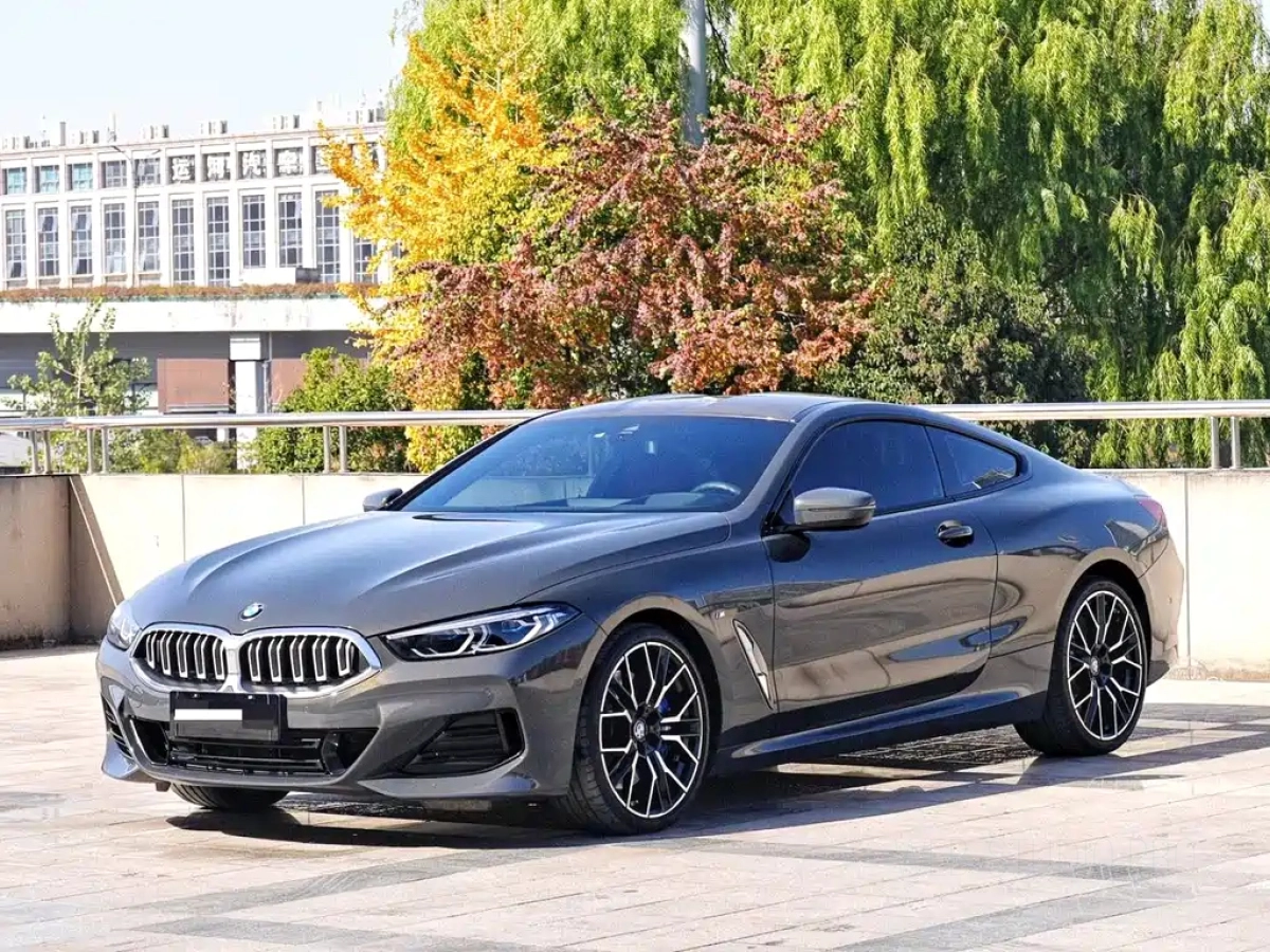 BMW 8-SERIES