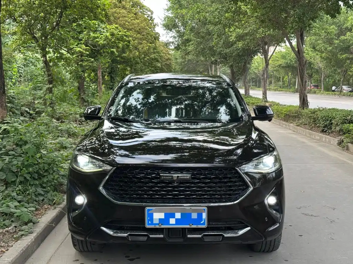 HAVAL F7X