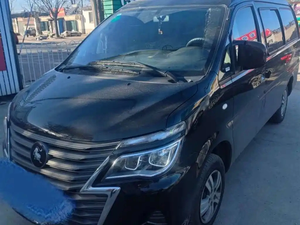 DONGFENG LINGZHI  2024