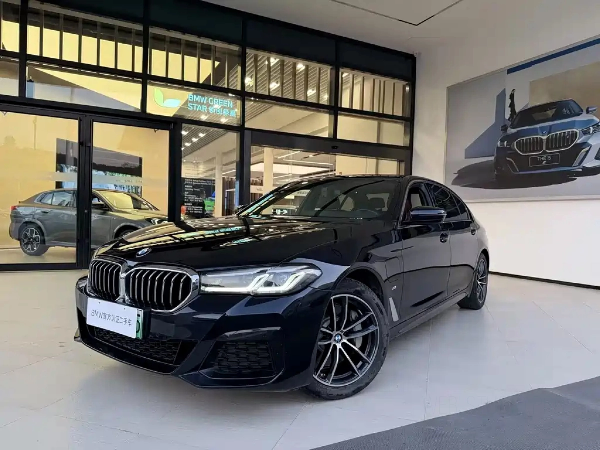 BMW 5-SERIES NEW ENERGY  2021