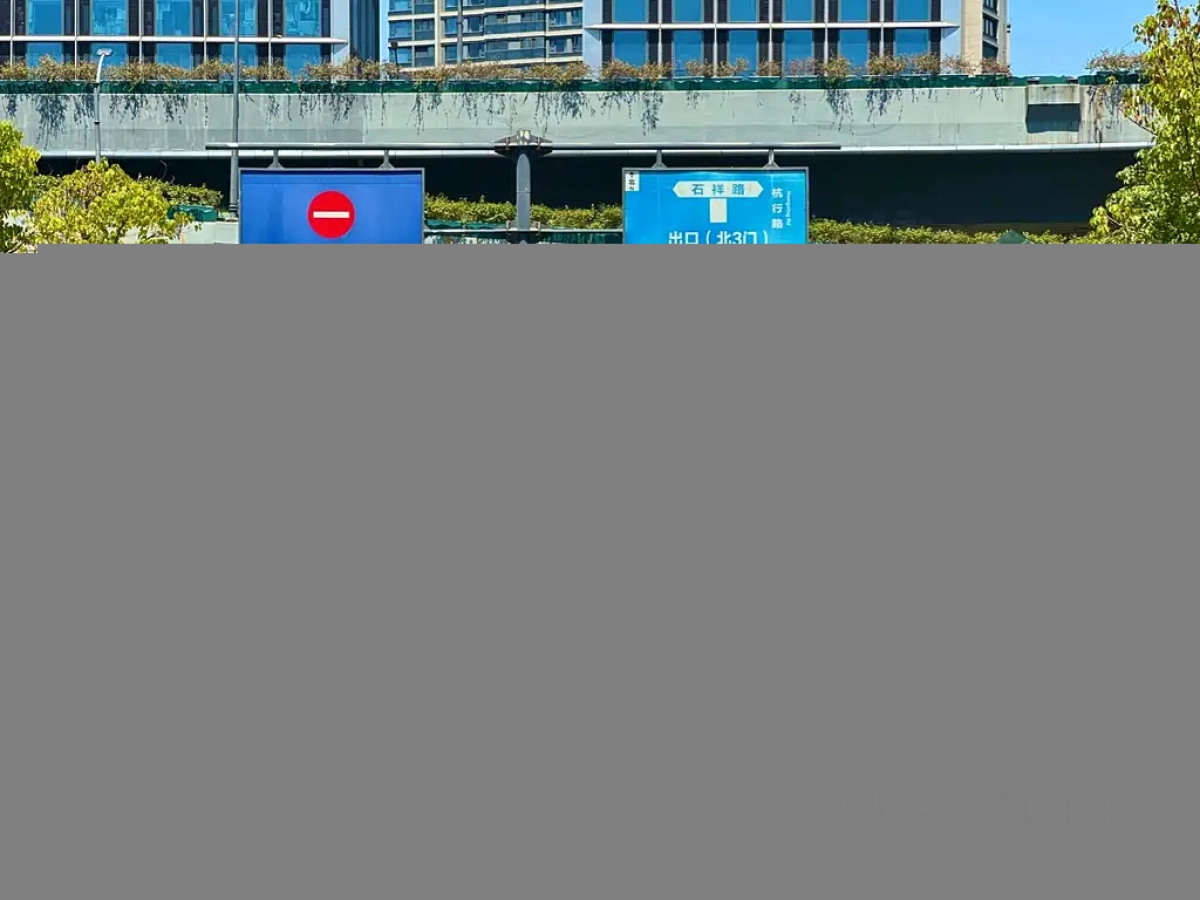 BYD YUAN NEW ENERGY  2020