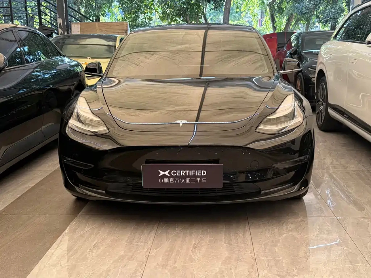 TESLA MODEL 3 IMPORT
