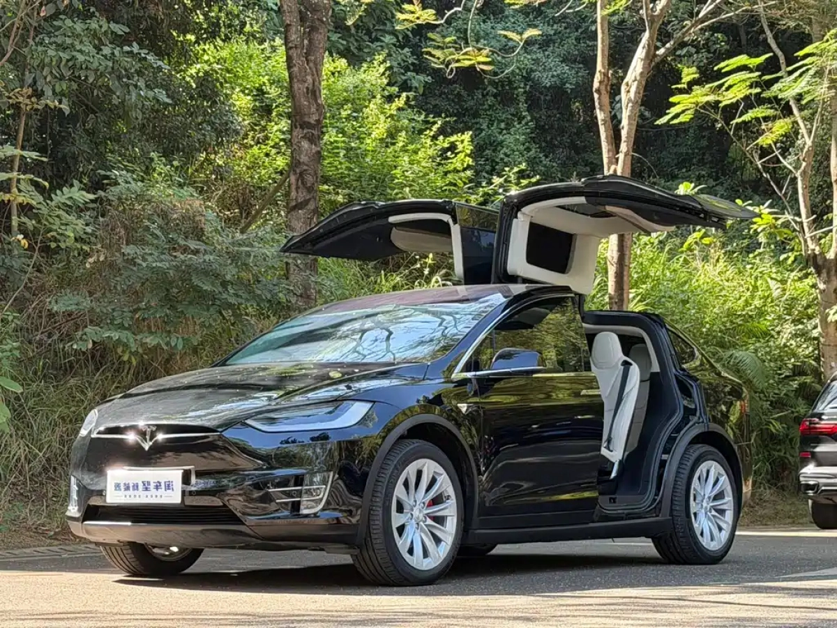 TESLA MODEL X