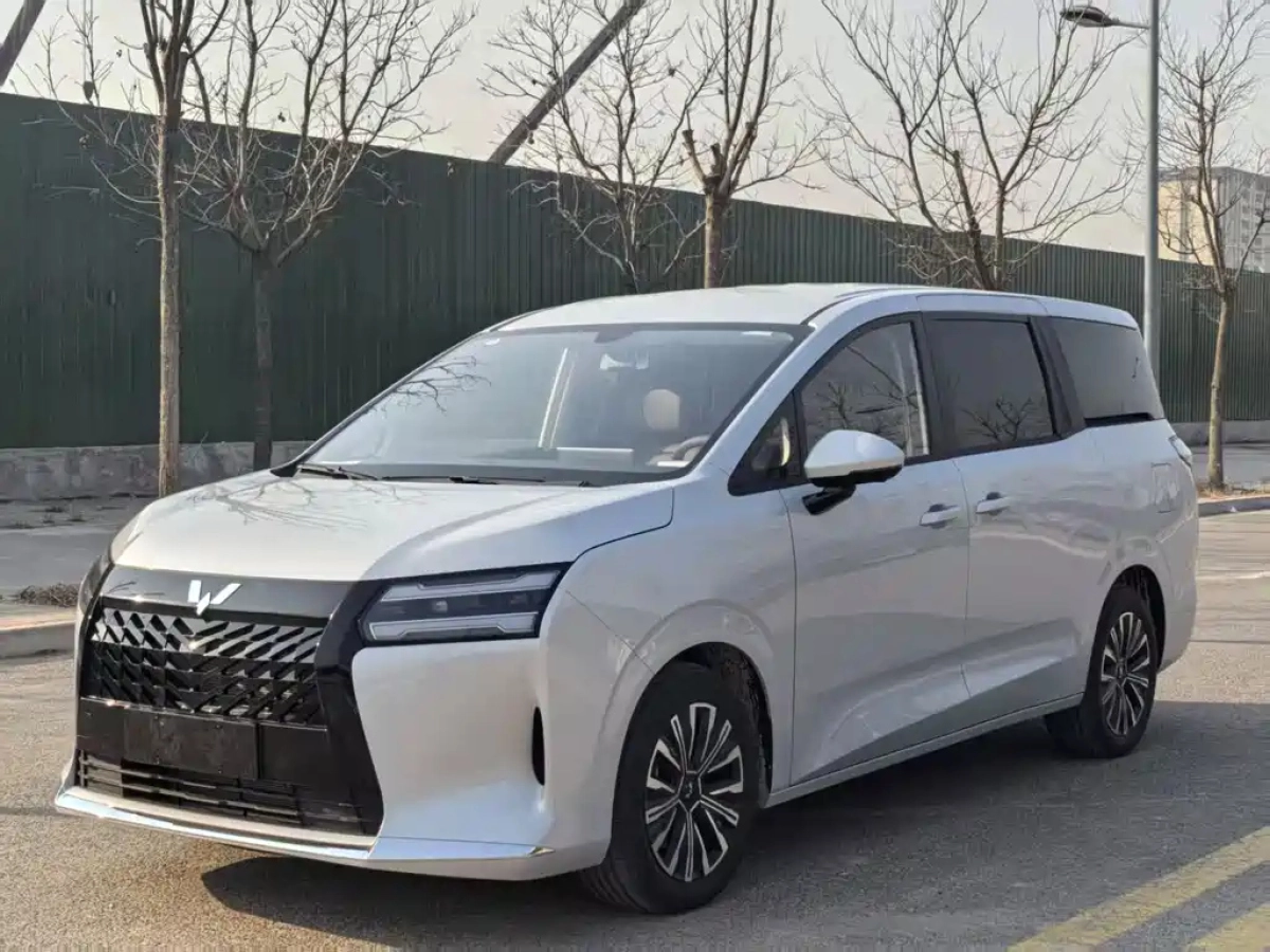 SGMW STARLIGHT 730 NEW ENERGY  2025