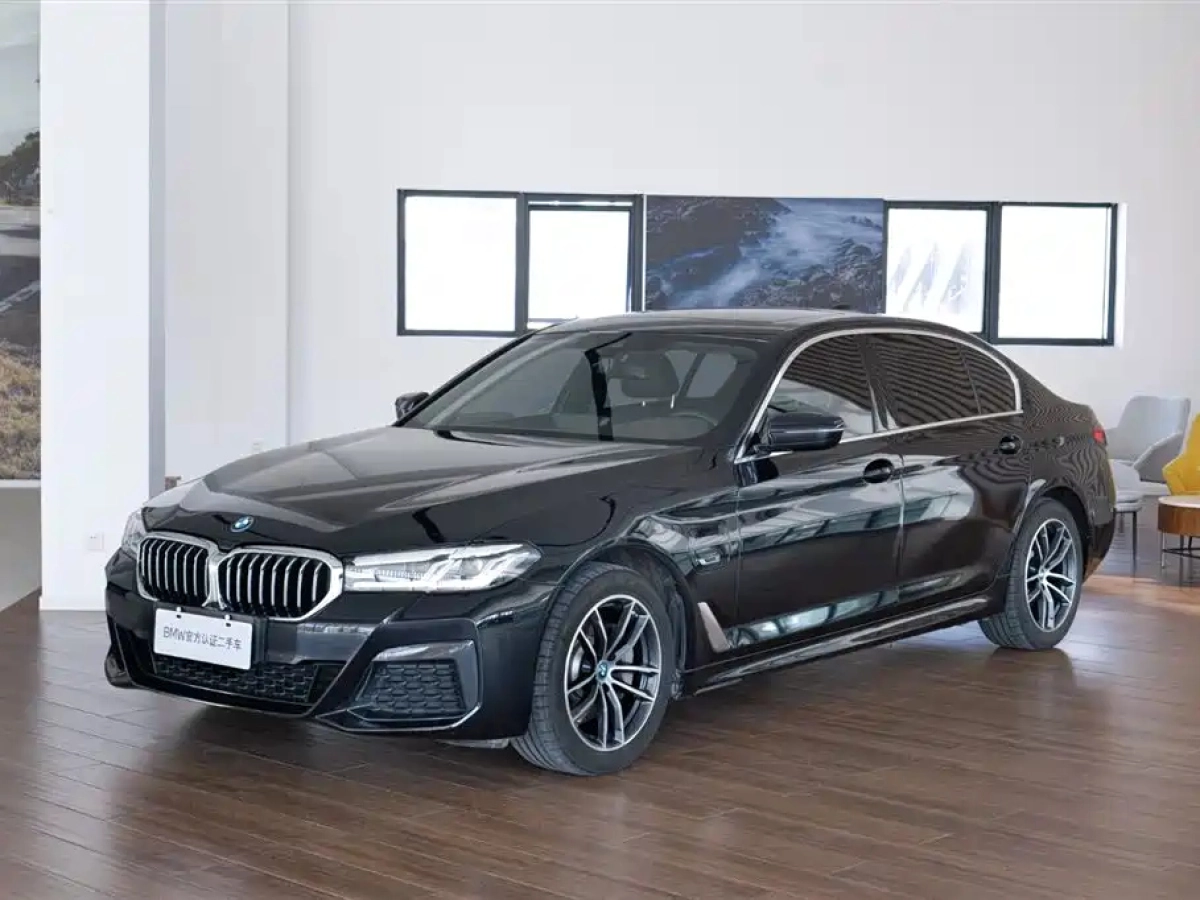 BMW 5-SERIES NEW ENERGY  2024