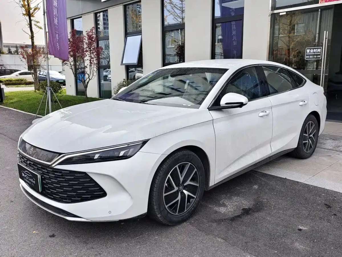 BYD QIN L  2025