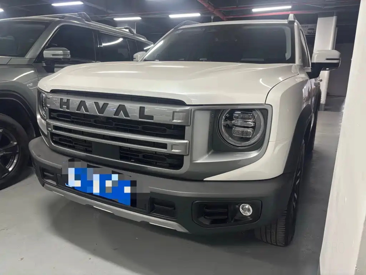 HAVAL BIG DOG  2024