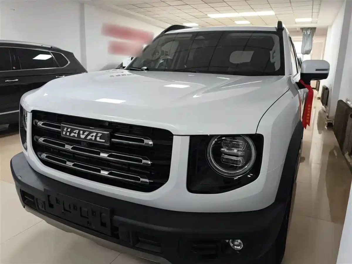 HAVAL BIG DOG