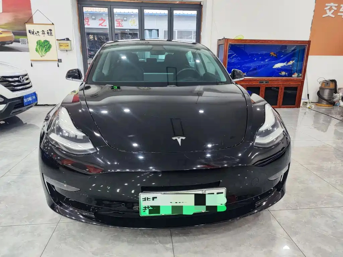TESLA MODEL 3 IMPORT