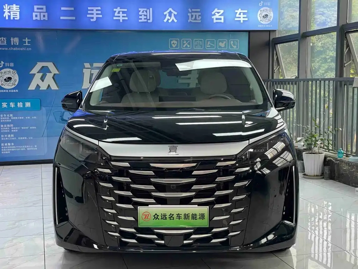 BYD XIA
