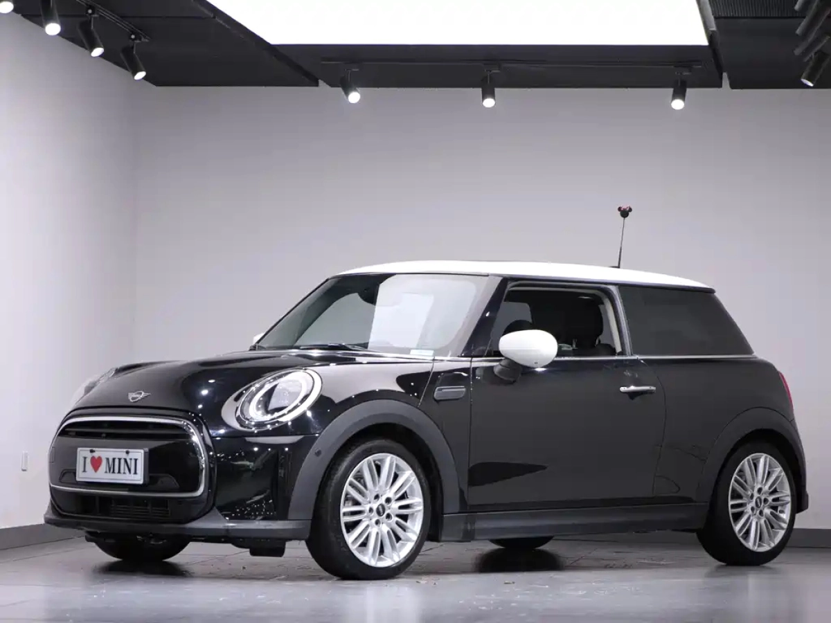 MINI OTHER