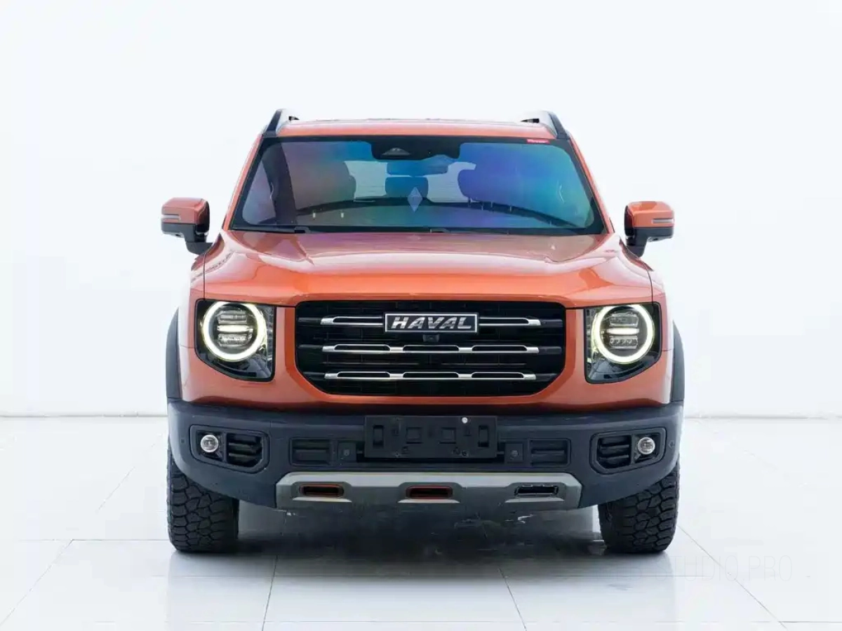 HAVAL BIG DOG