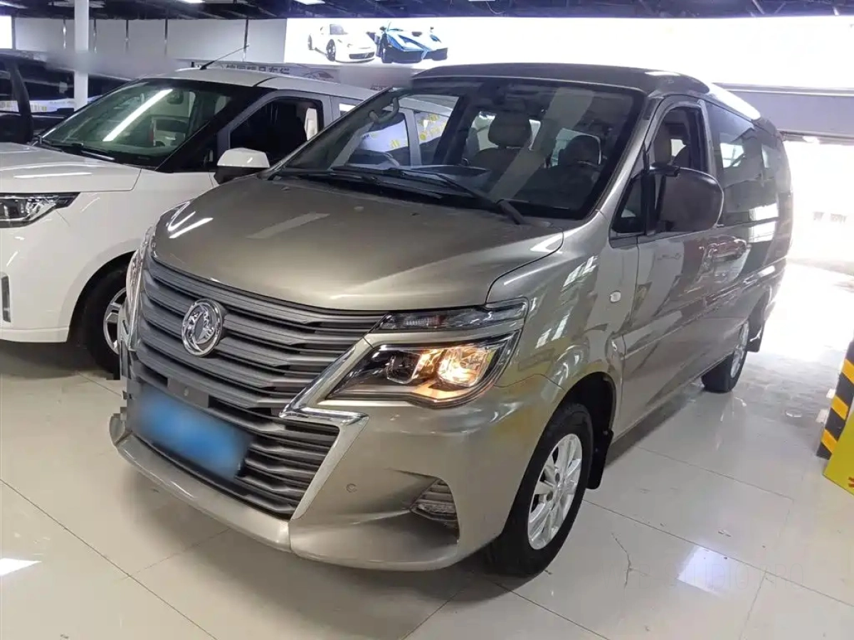 DONGFENG LINGZHI  2020