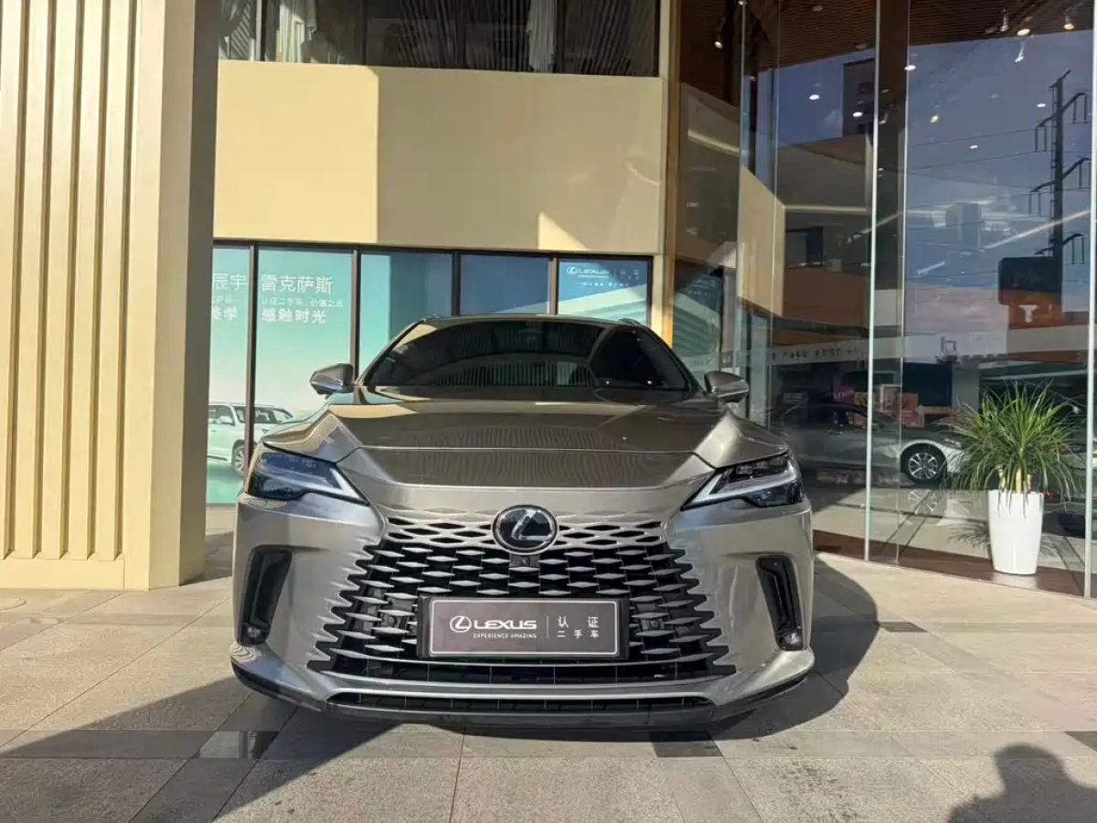 LEXUS RX NEW ENERGY