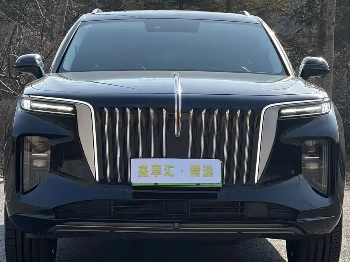 HONGQI E-HS9