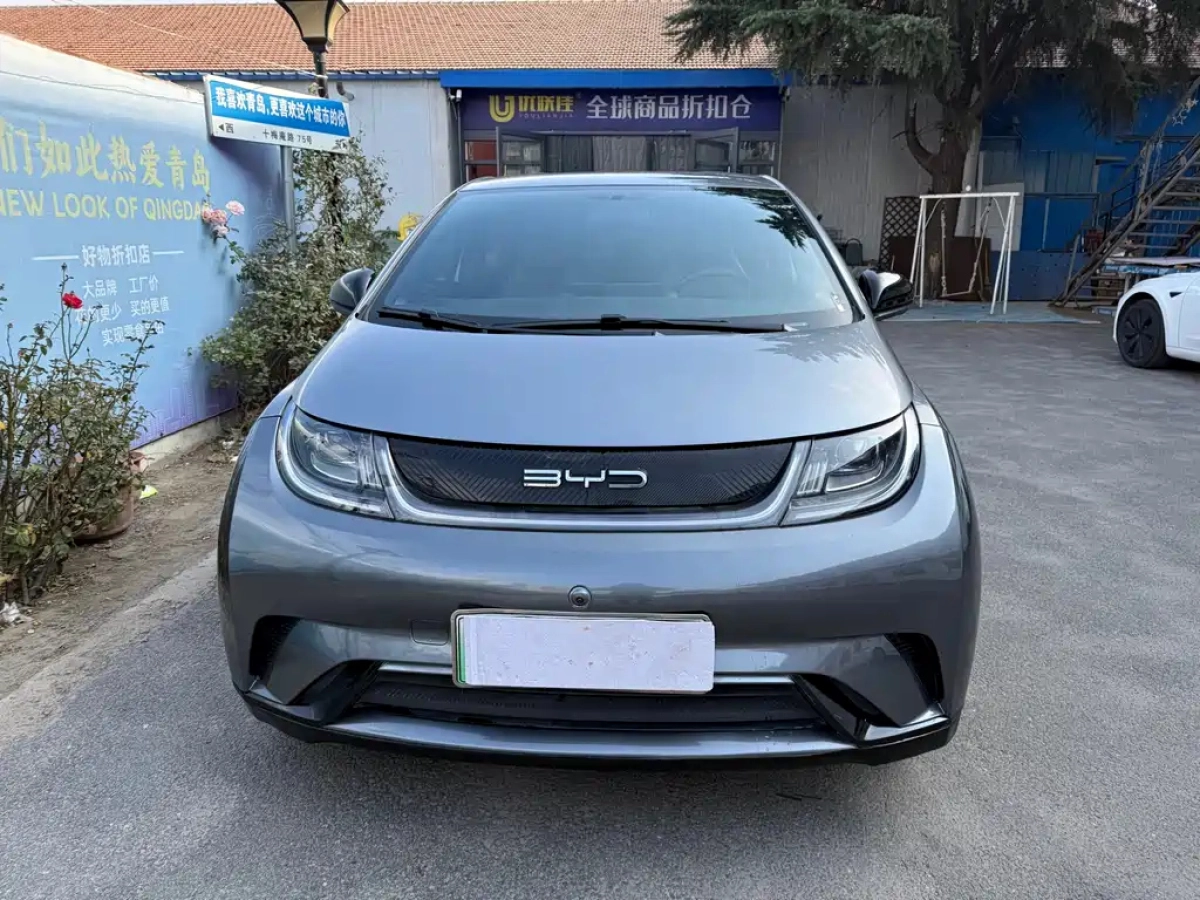 BYD DOLPHIN