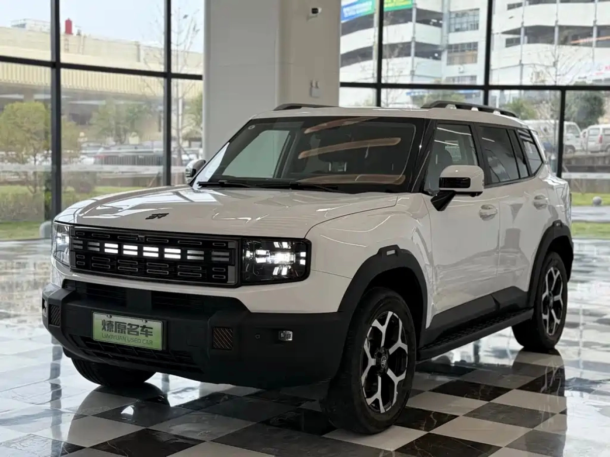 JETOUR SHANHAI T1  2024