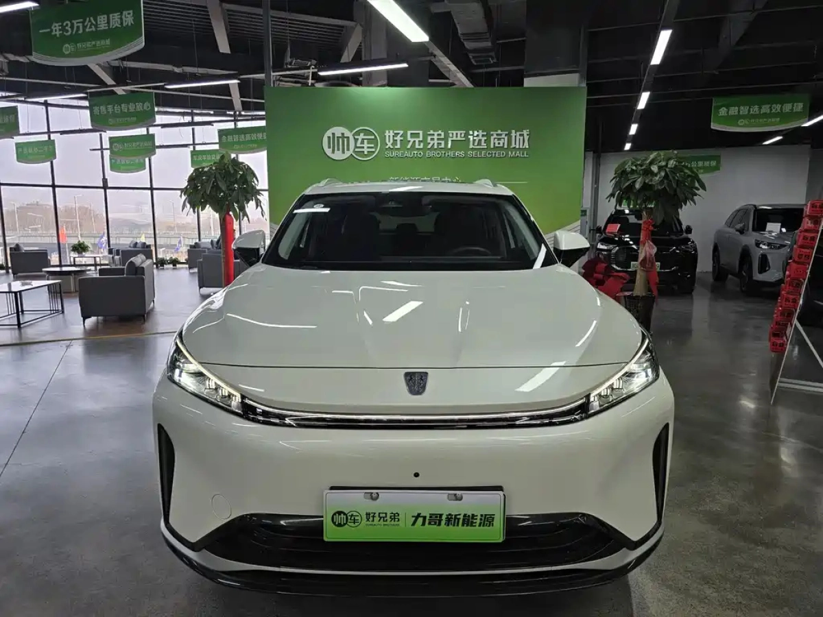 ROEWE D5X DMH