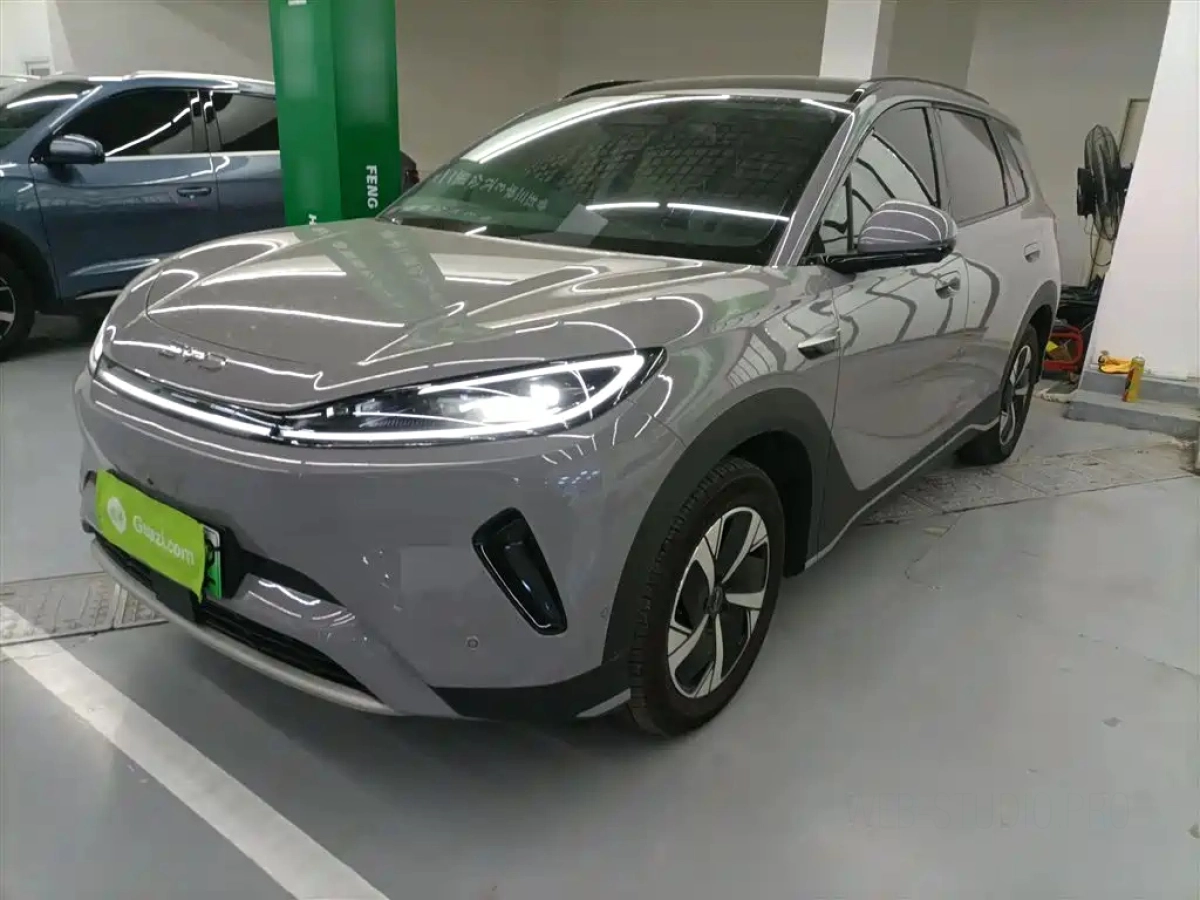 BYD OTHER  2025