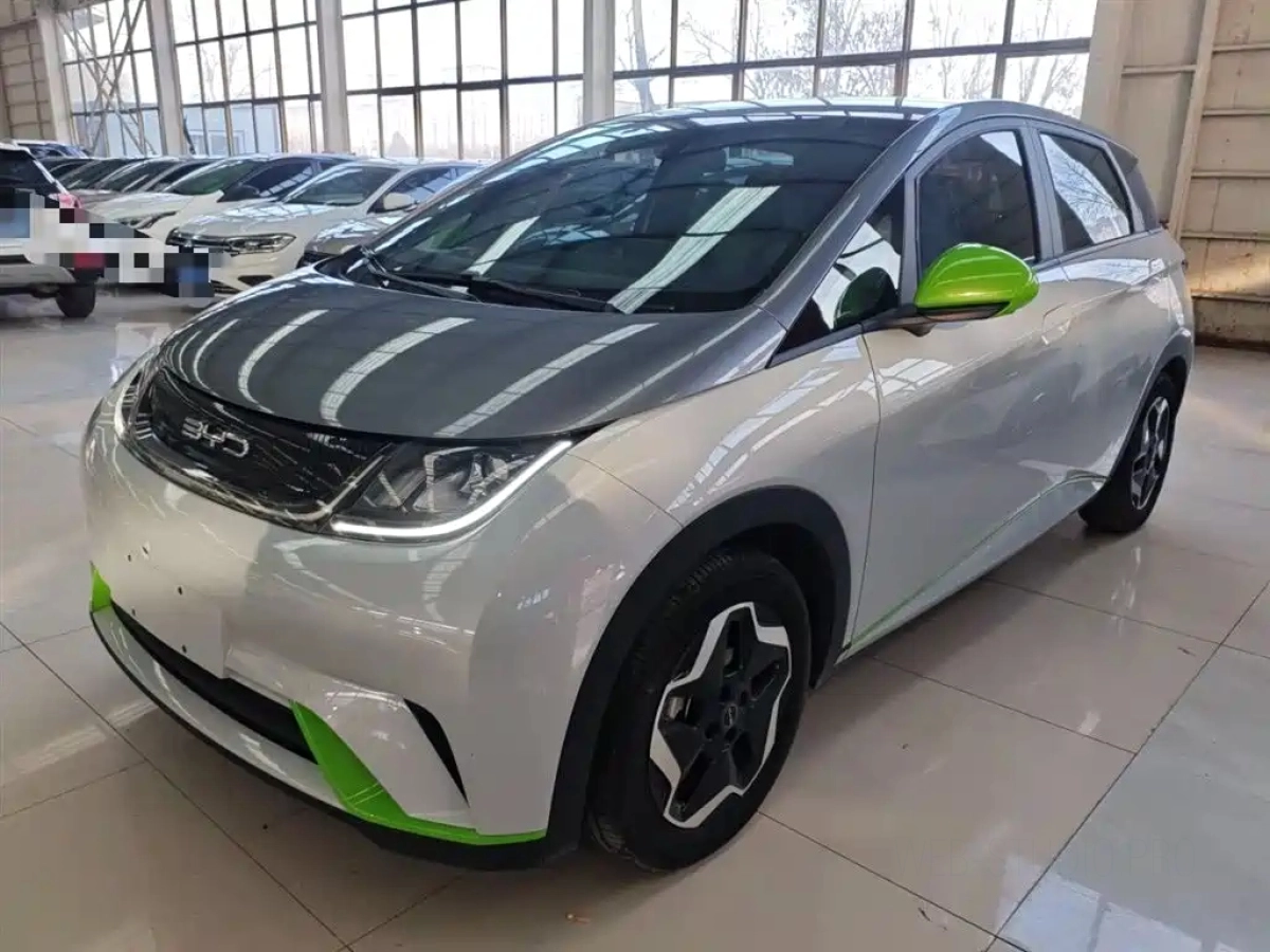 BYD DOLPHIN