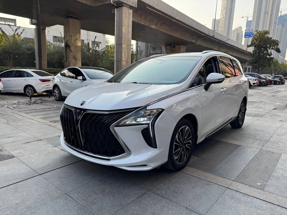 DONGFENG FORTHING 游艇