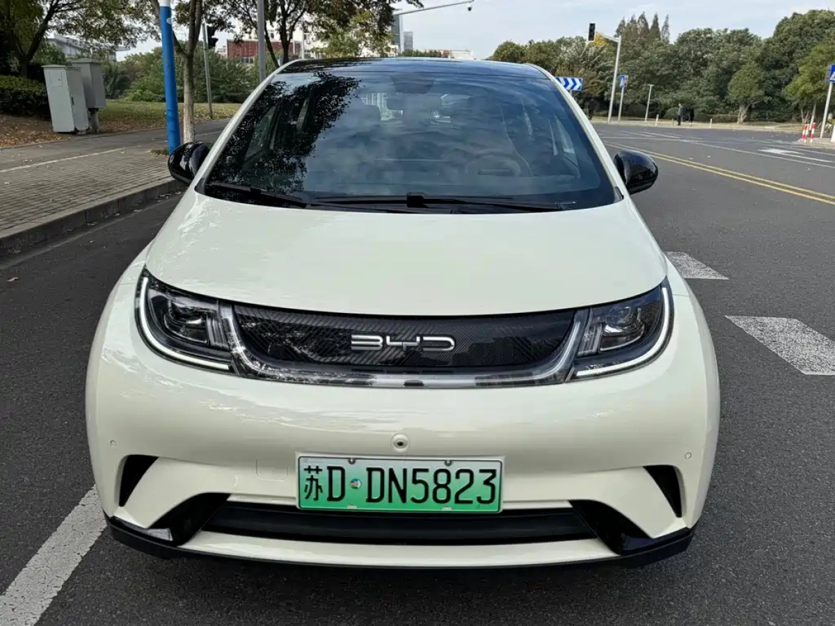 BYD DOLPHIN