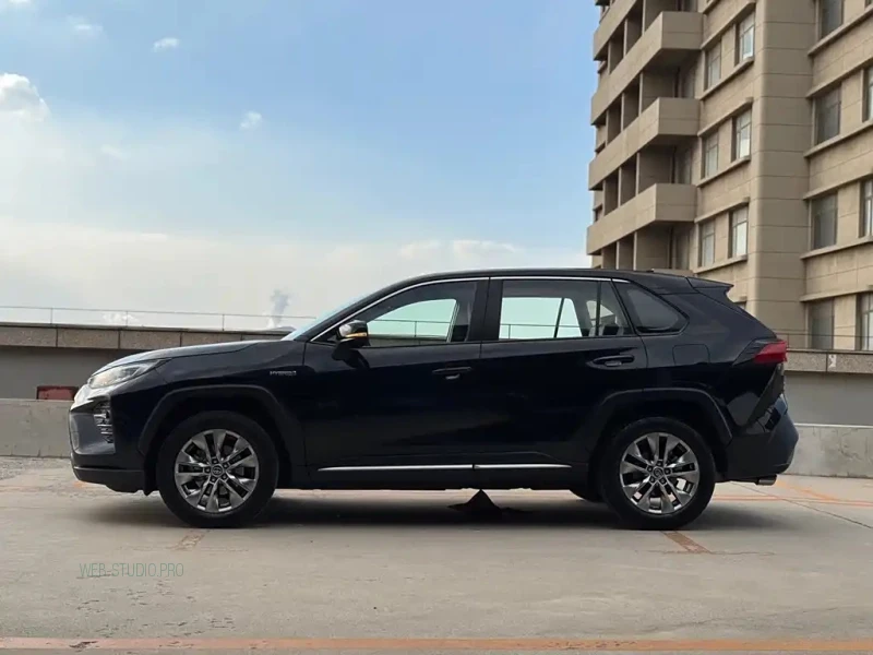 TOYOTA WILDLANDER