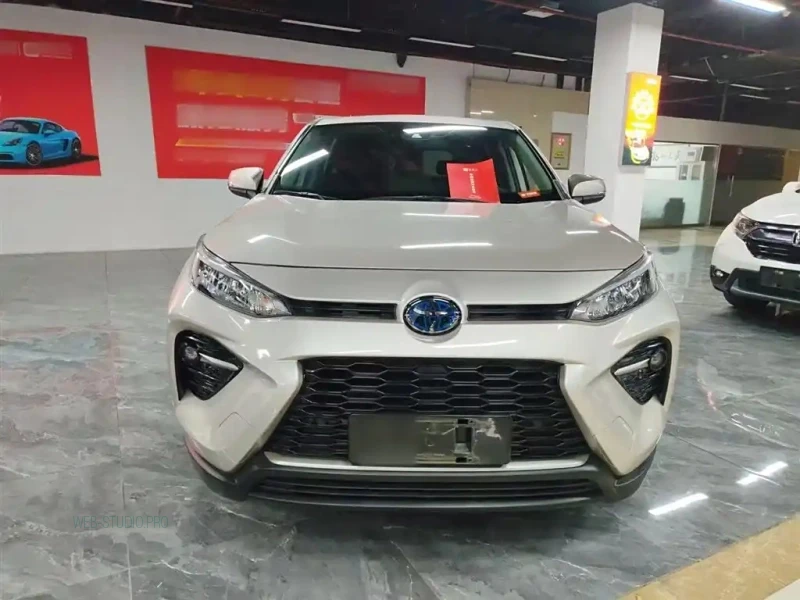 TOYOTA WILDLANDER