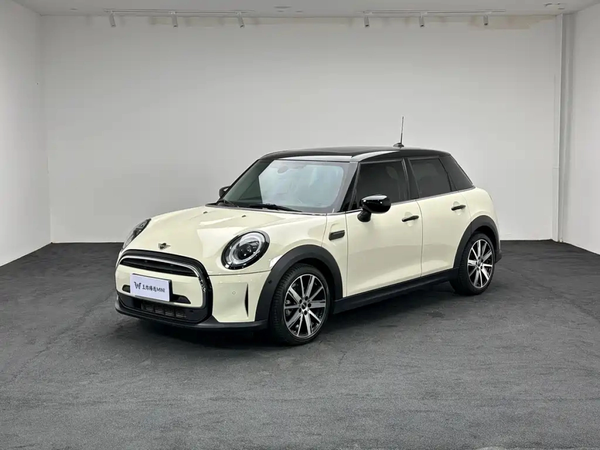 MINI OTHER