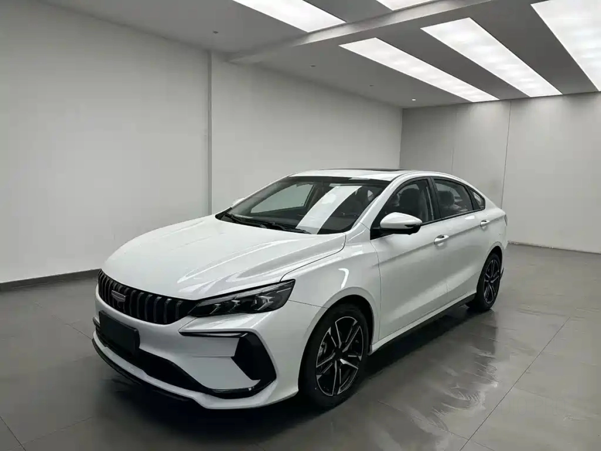 GEELY AUTO BINRUI  2025