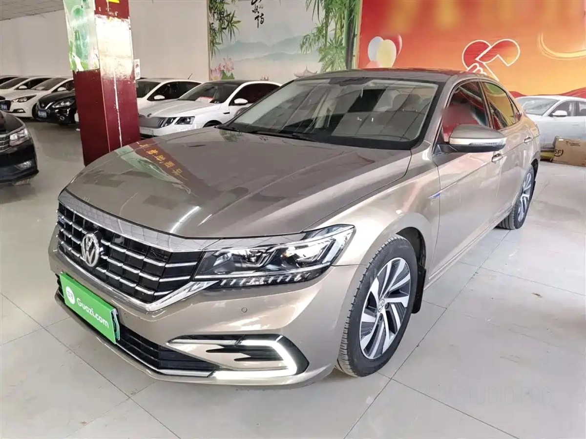 VOLKSWAGEN PASSAT NEW ENERGY  2019