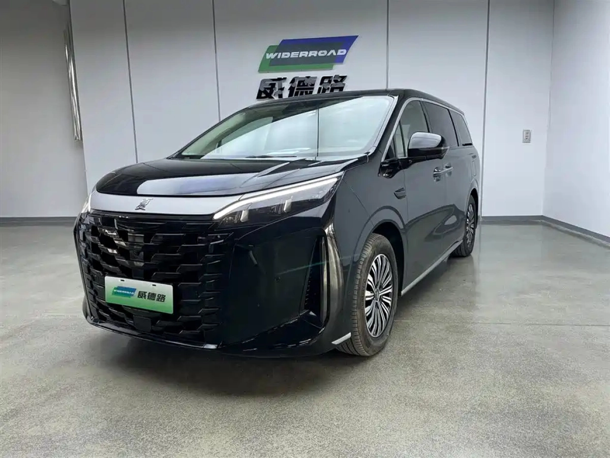 BYD XIA  2025