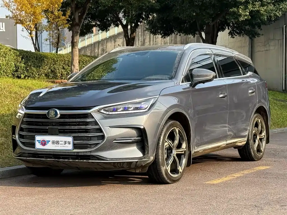 BYD TANG NEW ENERGY  2022
