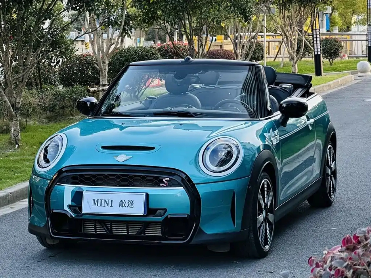 MINI OTHER