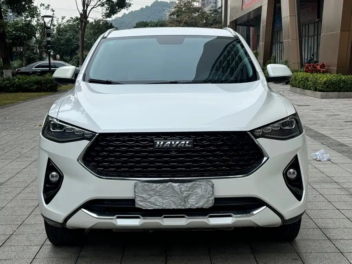 HAVAL F7X