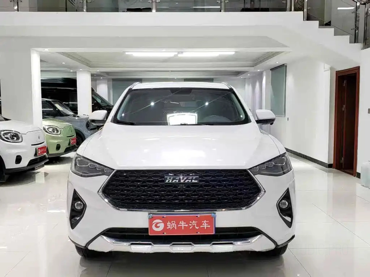 HAVAL F7X