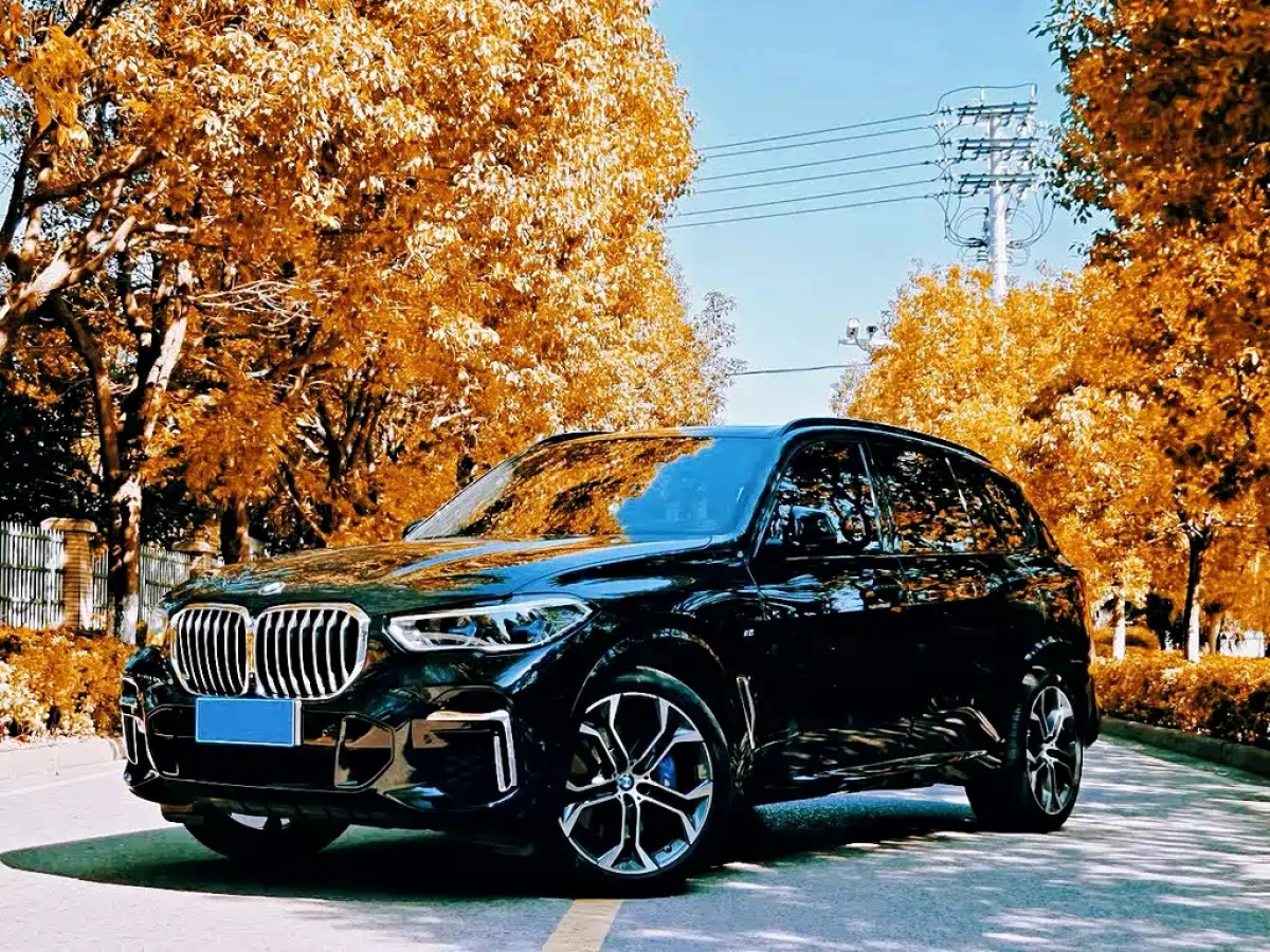 BMW X5  2023
